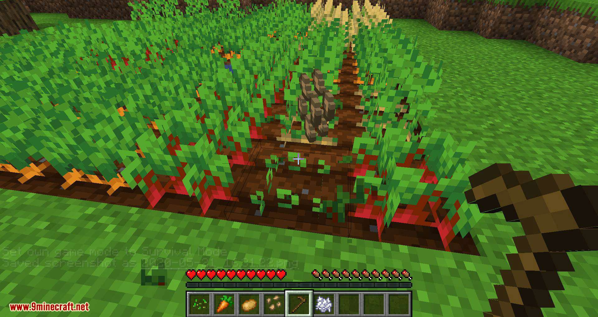 Replanting Crops Mod (1.20.4, 1.19.4) - Auto Replants/Replaces/Reseeds 11