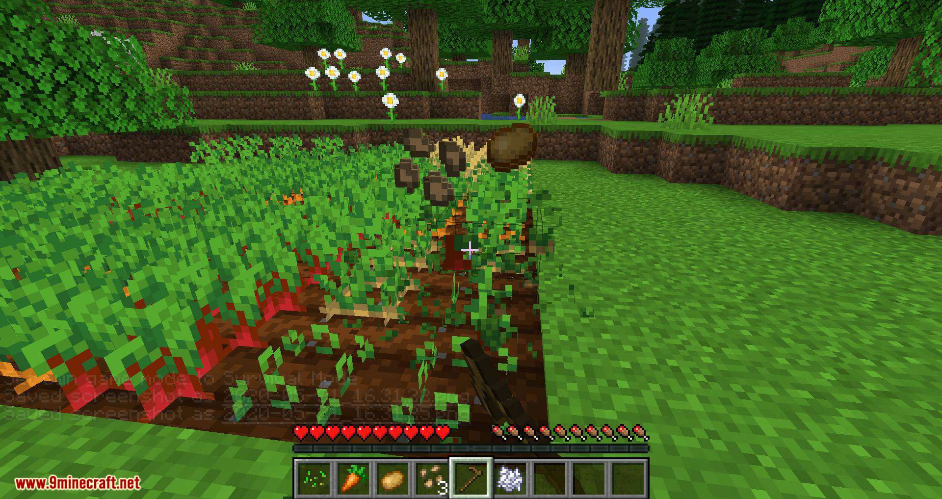 Replanting Crops Mod (1.20.4, 1.19.4) - Auto Replants/Replaces/Reseeds 12