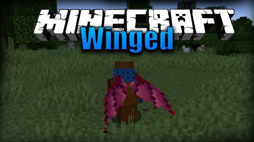 Winged Mod (1.19, 1.18.2) – Wings, Elytra Replacements, Body Modifying Thumbnail