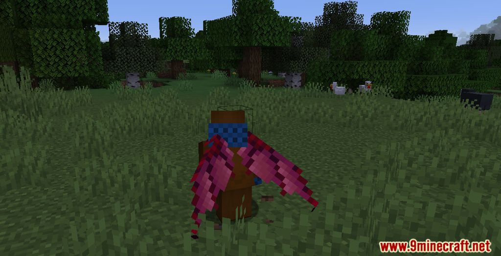 Winged Mod (1.20.1, 1.19.2) - Wings, Elytra Replacements, Body Modifying 16