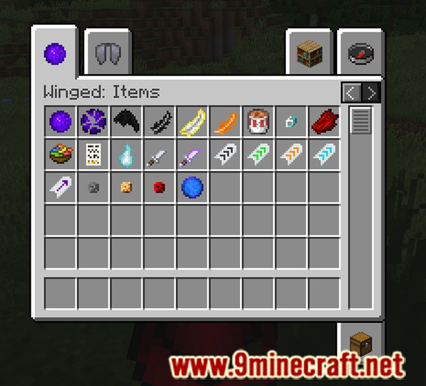 Winged Mod (1.20.1, 1.19.2) - Wings, Elytra Replacements, Body Modifying 18