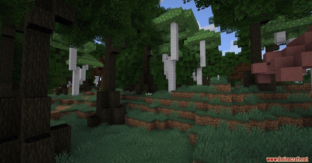 Biomes You'll Go Mod 1.16.5 (New Biomes, Atmosphere) 2