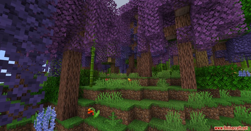 Biomes You'll Go Mod 1.16.5 (New Biomes, Atmosphere) 3