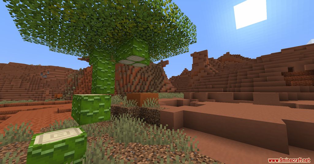 Biomes You'll Go Mod 1.16.5 (New Biomes, Atmosphere) 4