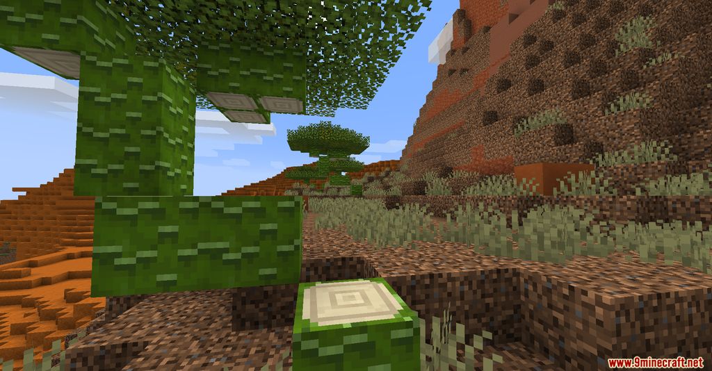 Biomes You'll Go Mod 1.16.5 (New Biomes, Atmosphere) 5