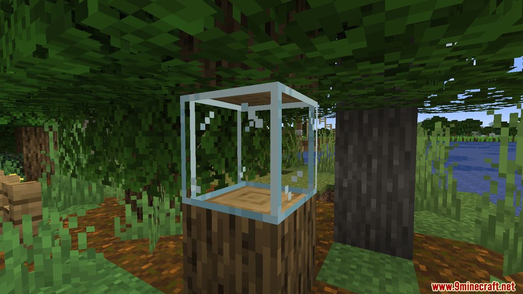 Pane in the Glass Mod (1.19.3, 1.18.2) - Glass Modifications 5
