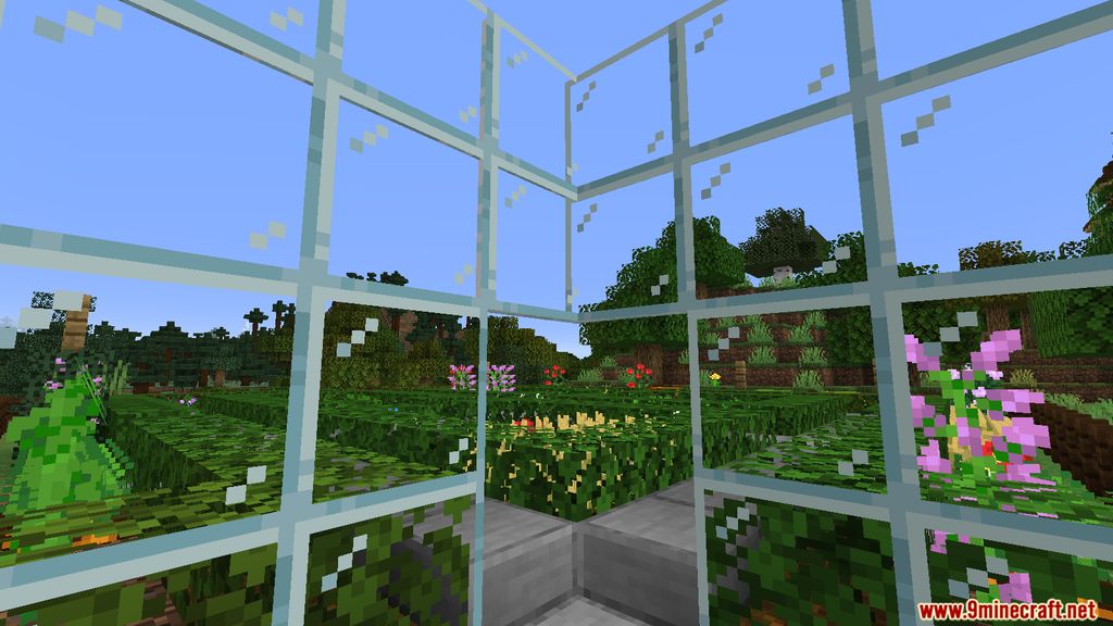 Pane in the Glass Mod (1.19.3, 1.18.2) - Glass Modifications 6