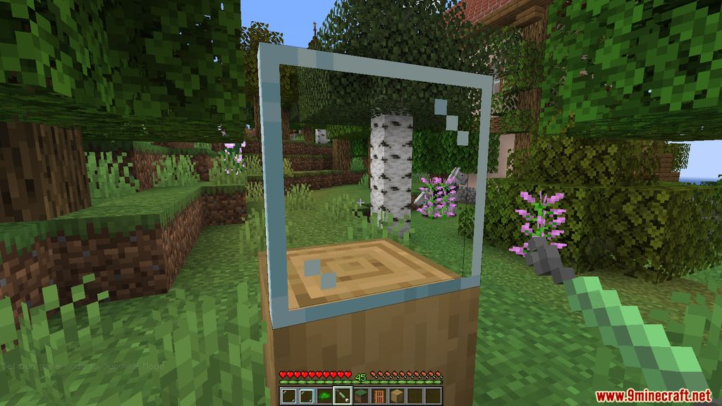 Pane in the Glass Mod (1.19.3, 1.18.2) - Glass Modifications 7