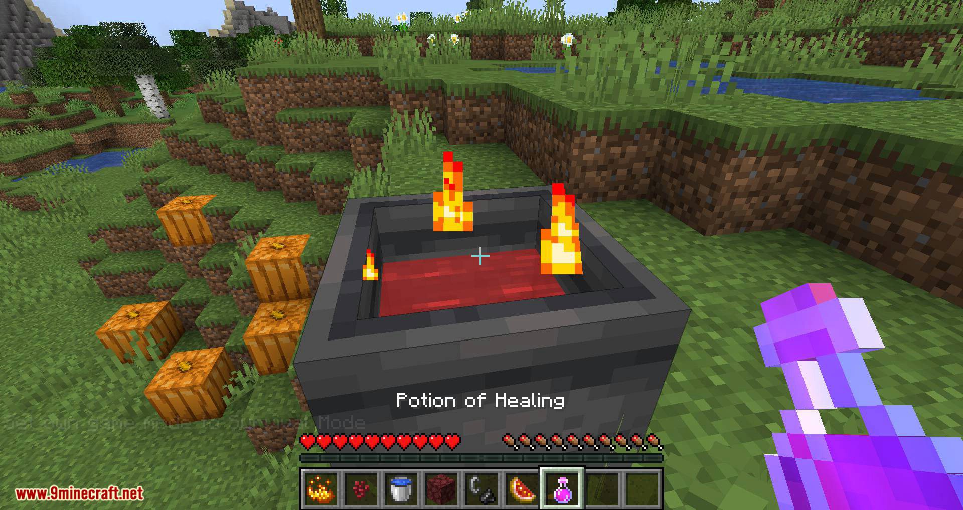 Cauldron Overhaul Mod 1.16.5, 1.15.2 (More Use for Cauldron) 14