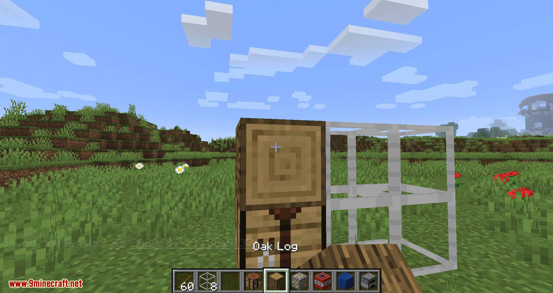 FakeBlocks Mod 1.16.5, 1.16.2 (Trap and Mystery Door) 7