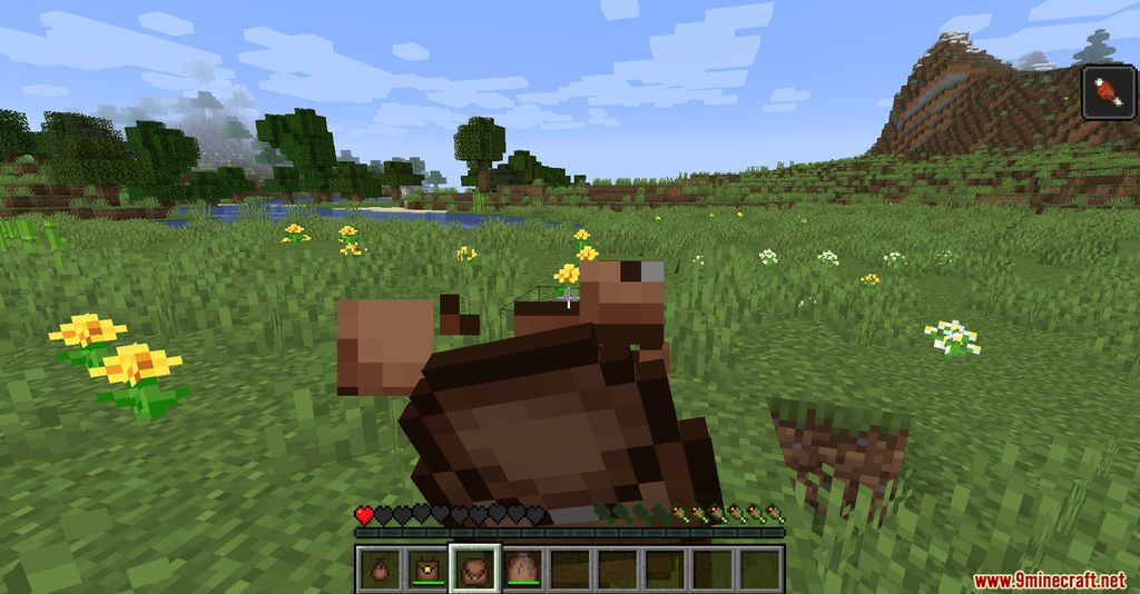 Food Pouches Mod 1.16.5, 1.16.1 (Food Bags) 4