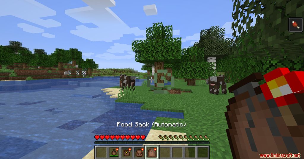 Food Pouches Mod 1.16.5, 1.16.1 (Food Bags) 7