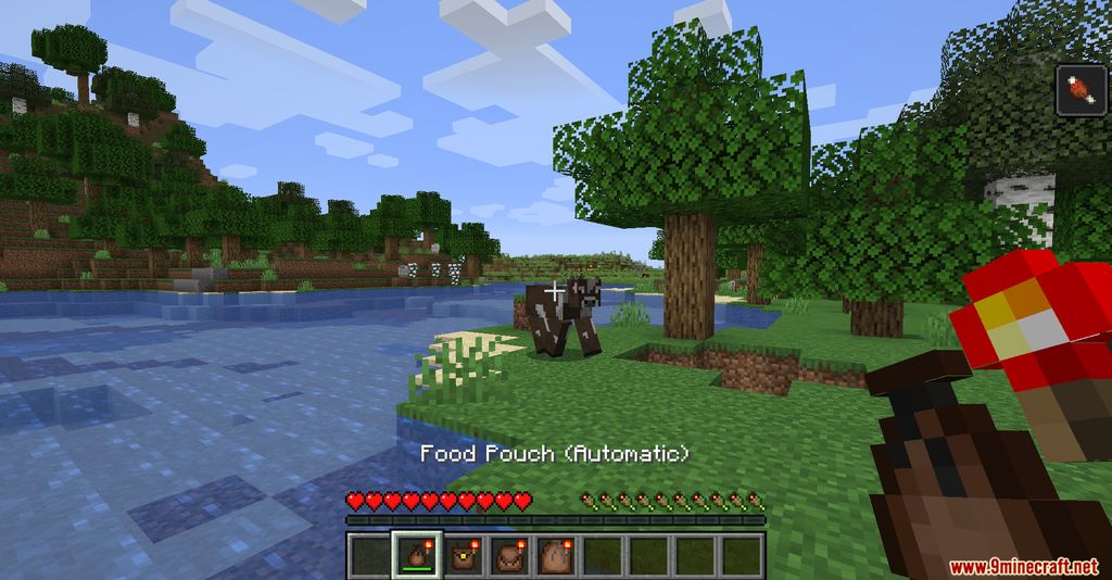 Food Pouches Mod 1.16.5, 1.16.1 (Food Bags) 8