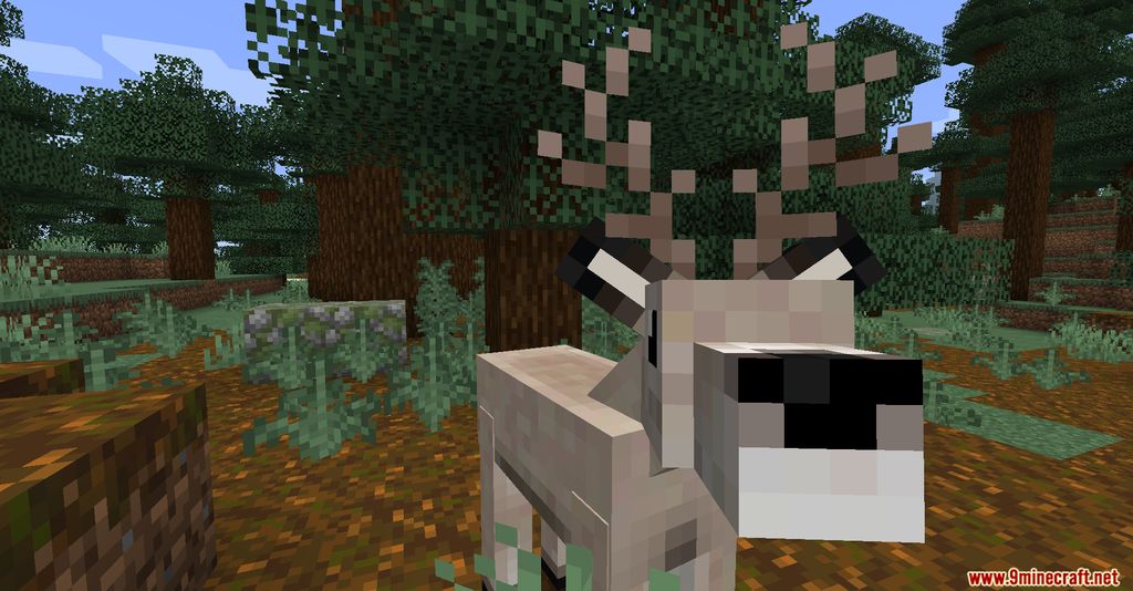 Gentle Fawn Mod 1.16.5, 1.15.2 (It's Literally Just Deer) 4