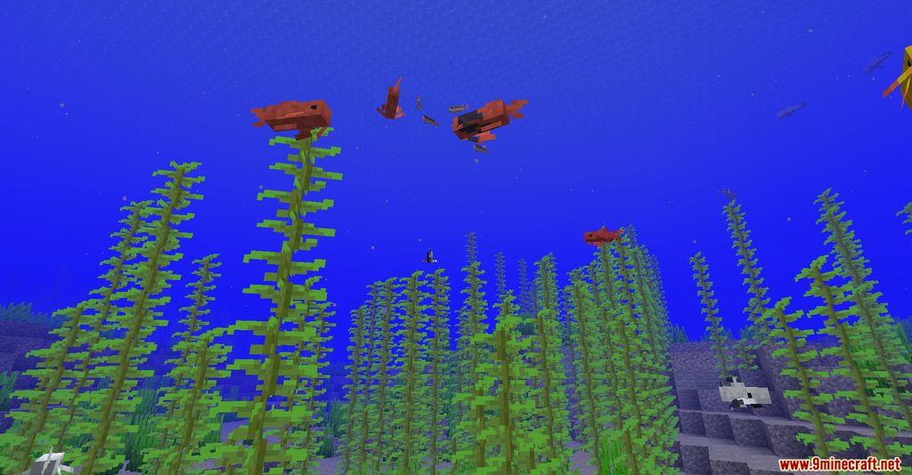 Koi Mod 1.16.1 (New Aquatic Animals) 3