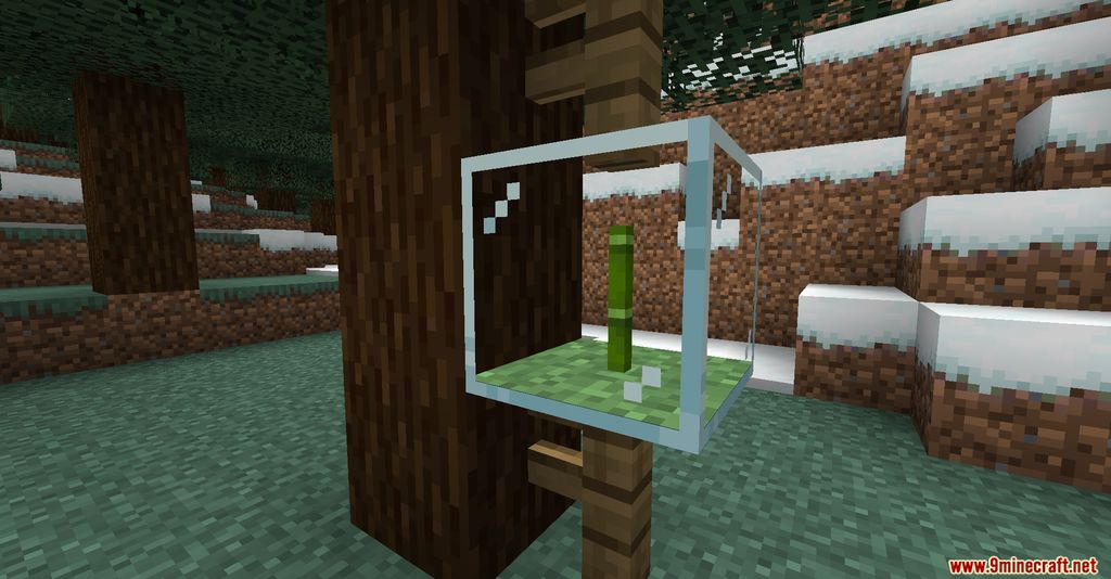 Plant In a Jar Mod (1.20.1, 1.19.2) - Perserving Plants 3