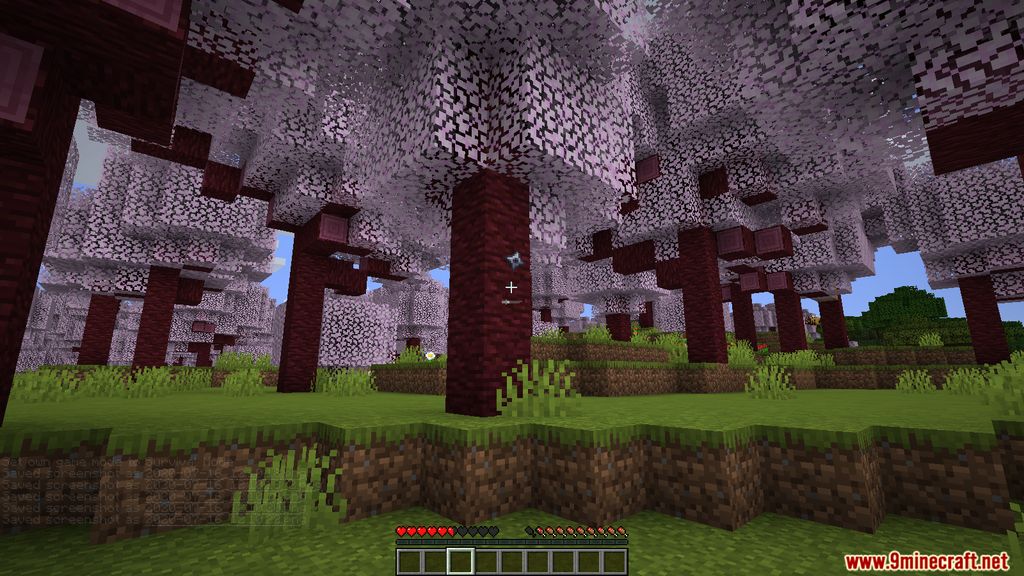 Sakura Forest Mod 1.15.2 (New Biomes, Ninja, Mystical) 14