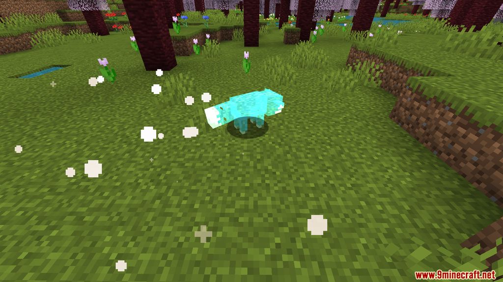 Sakura Forest Mod 1.15.2 (New Biomes, Ninja, Mystical) 9