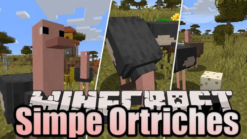 Simple Ostriches Mod 1.15.2 (Friendly Ostriches) Thumbnail