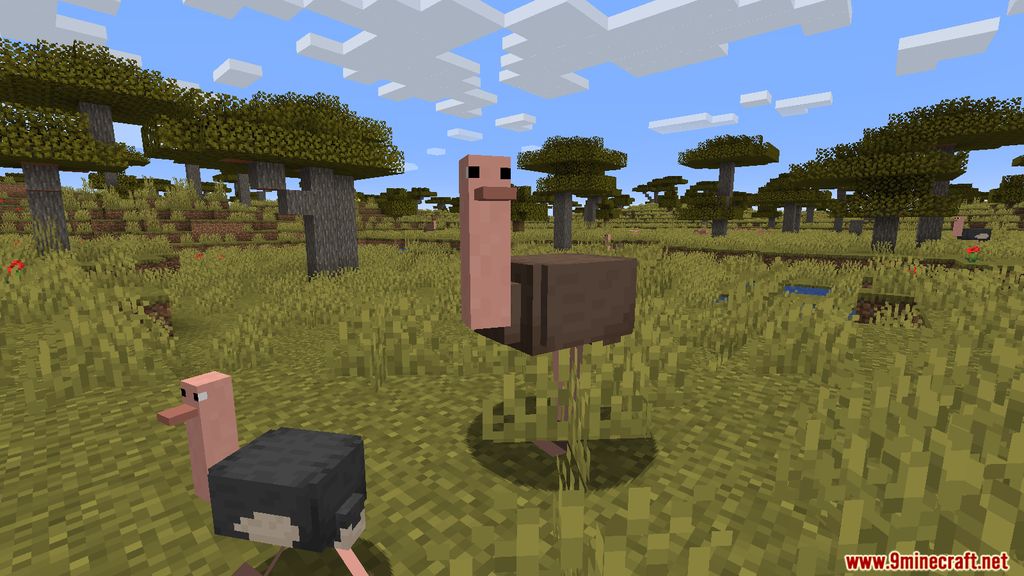 Simple Ostriches Mod 1.15.2 (Friendly Ostriches) 2