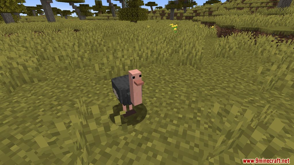 Simple Ostriches Mod 1.15.2 (Friendly Ostriches) 3