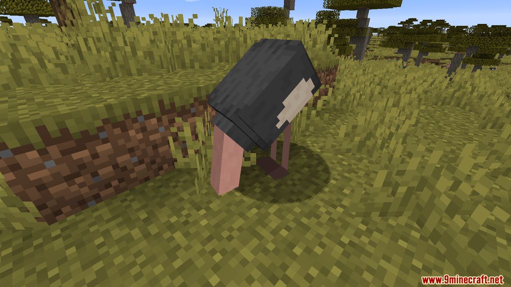 Simple Ostriches Mod 1.15.2 (Friendly Ostriches) 4