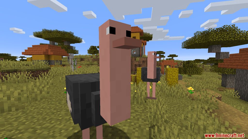 Simple Ostriches Mod 1.15.2 (Friendly Ostriches) 5