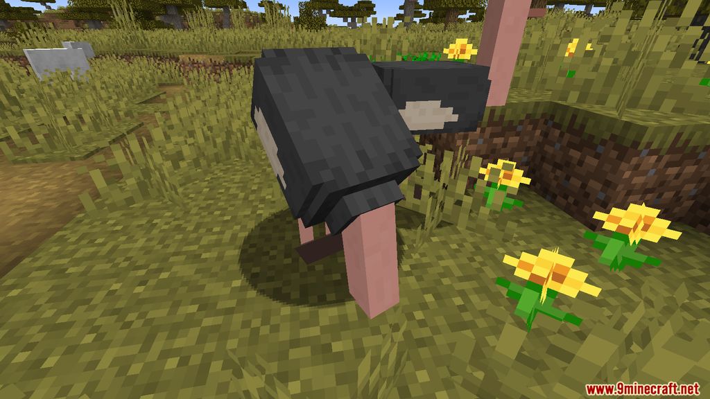 Simple Ostriches Mod 1.15.2 (Friendly Ostriches) 6