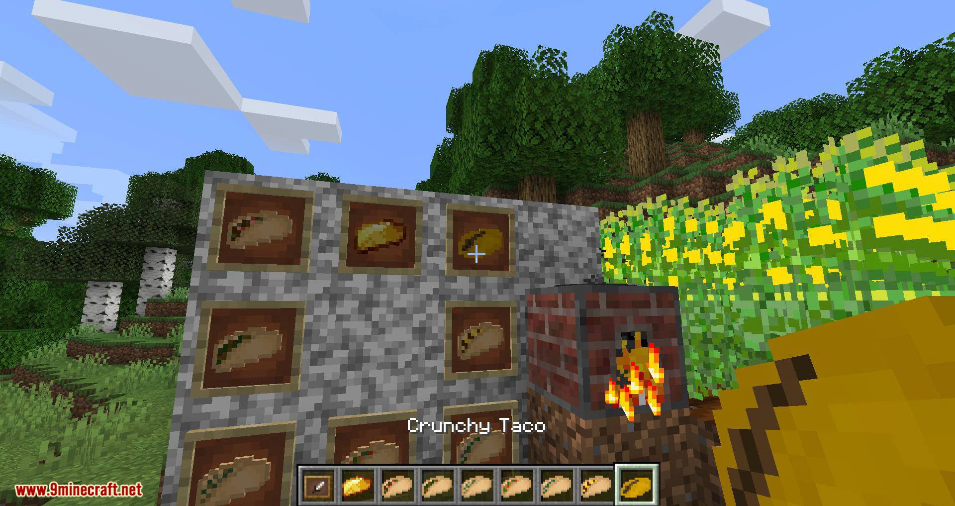 TacoCraft Mod (1.19, 1.18.2) - Tacos for Fabric 11