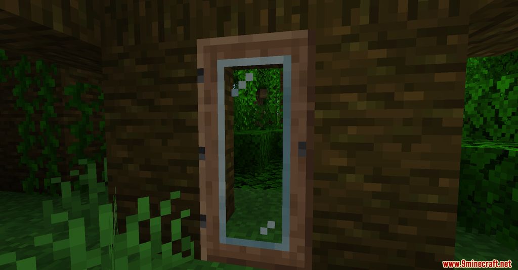 Glass Doors Mod 1.16.2 (Transparent Doors) 4