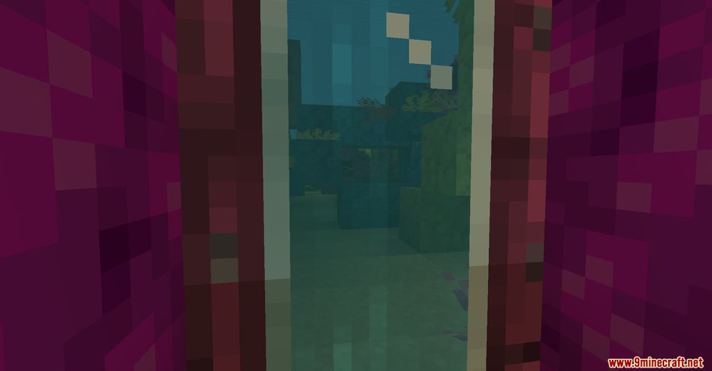 Glass Doors Mod 1.16.2 (Transparent Doors) 7