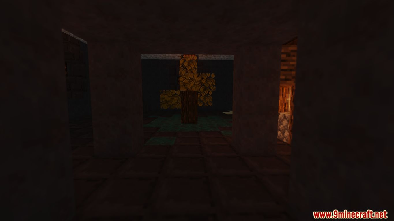 Level 10 Map 1.16.3 for Minecraft 6