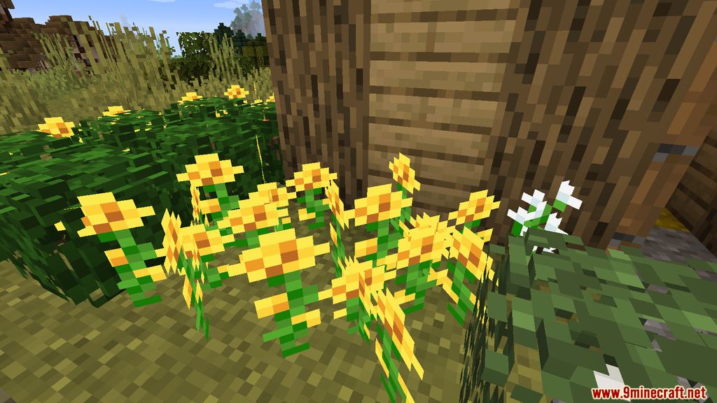 Lush Biomes Mod 1.16.5, 1.15.2 (Flowers, Owls) 4