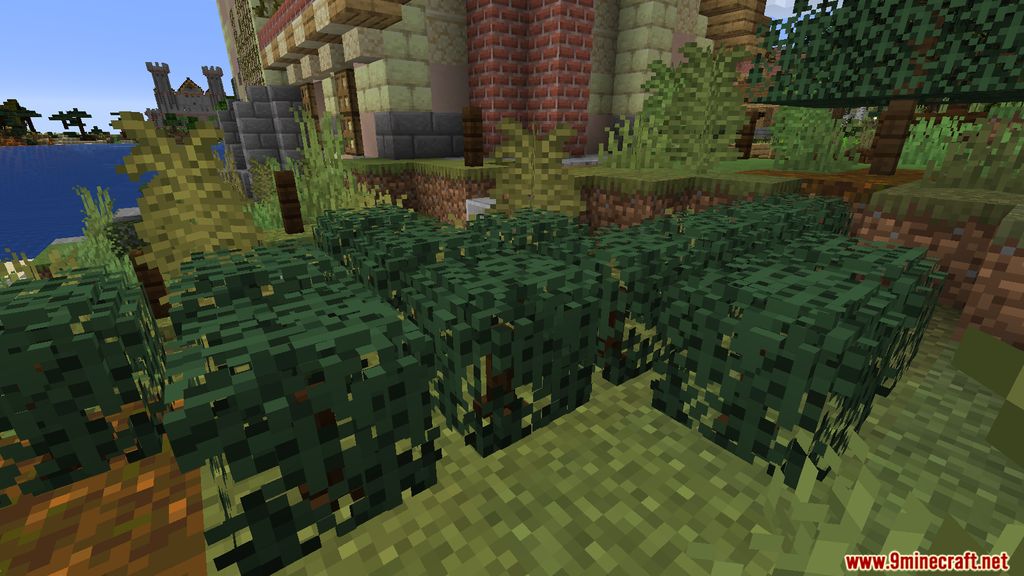 Lush Biomes Mod 1.16.5, 1.15.2 (Flowers, Owls) 7