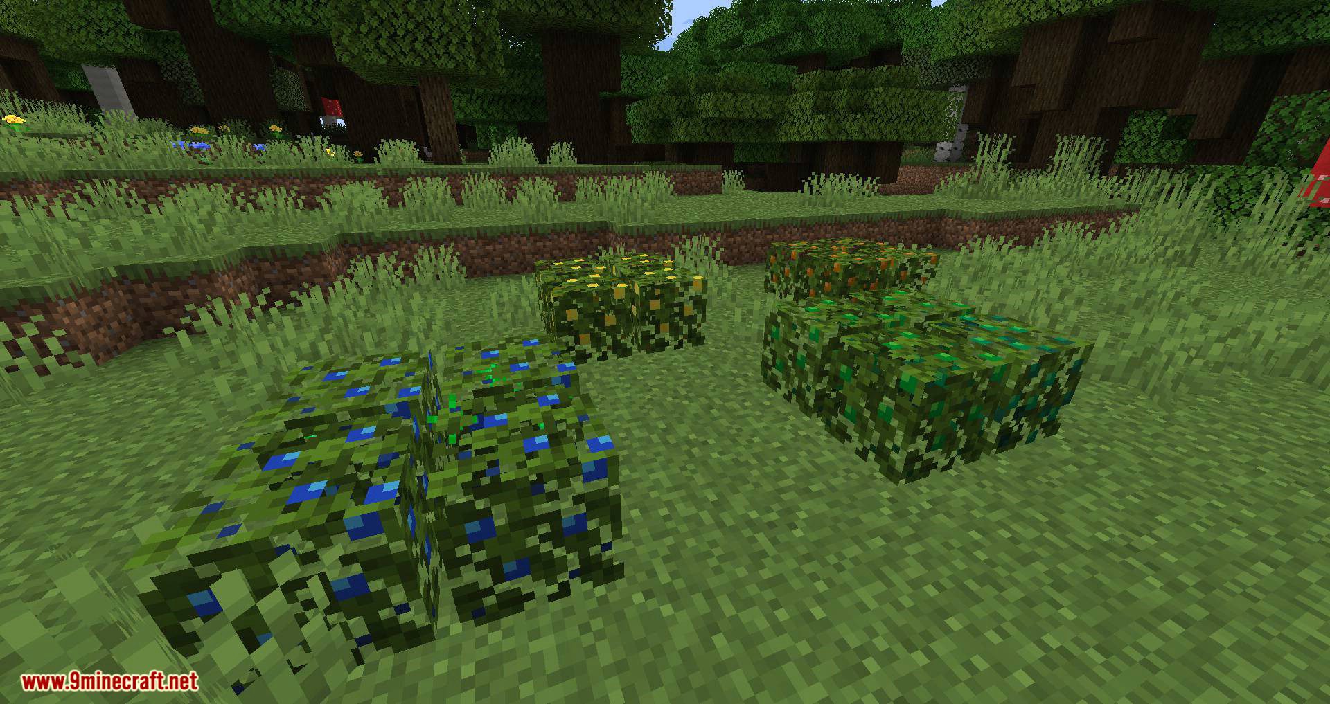 More Berries Mod (1.20.4, 1.19.4) - New Berry Bushes 3