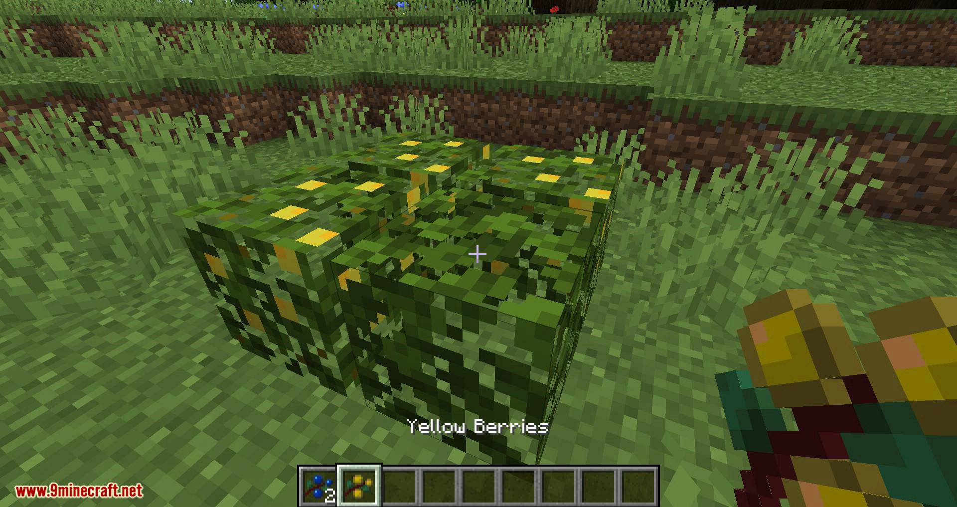 More Berries Mod (1.20.4, 1.19.4) - New Berry Bushes 5