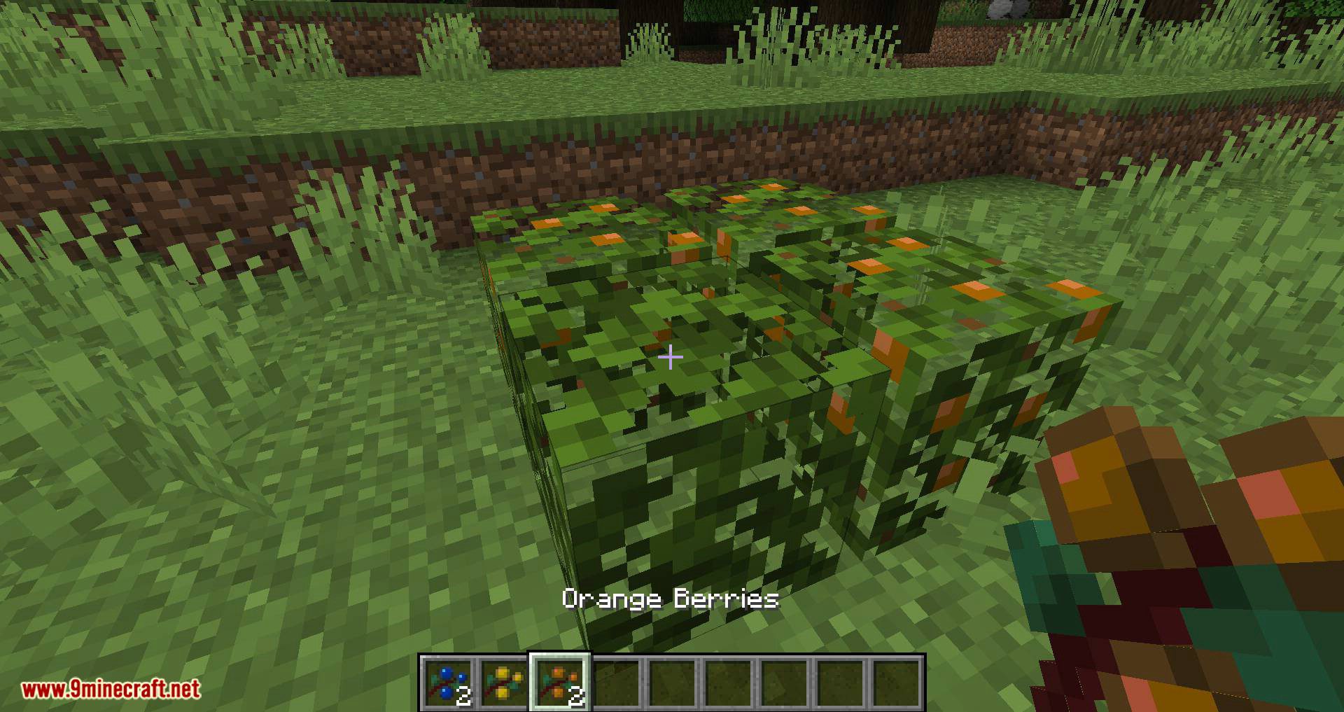 More Berries Mod (1.20.4, 1.19.4) - New Berry Bushes 6