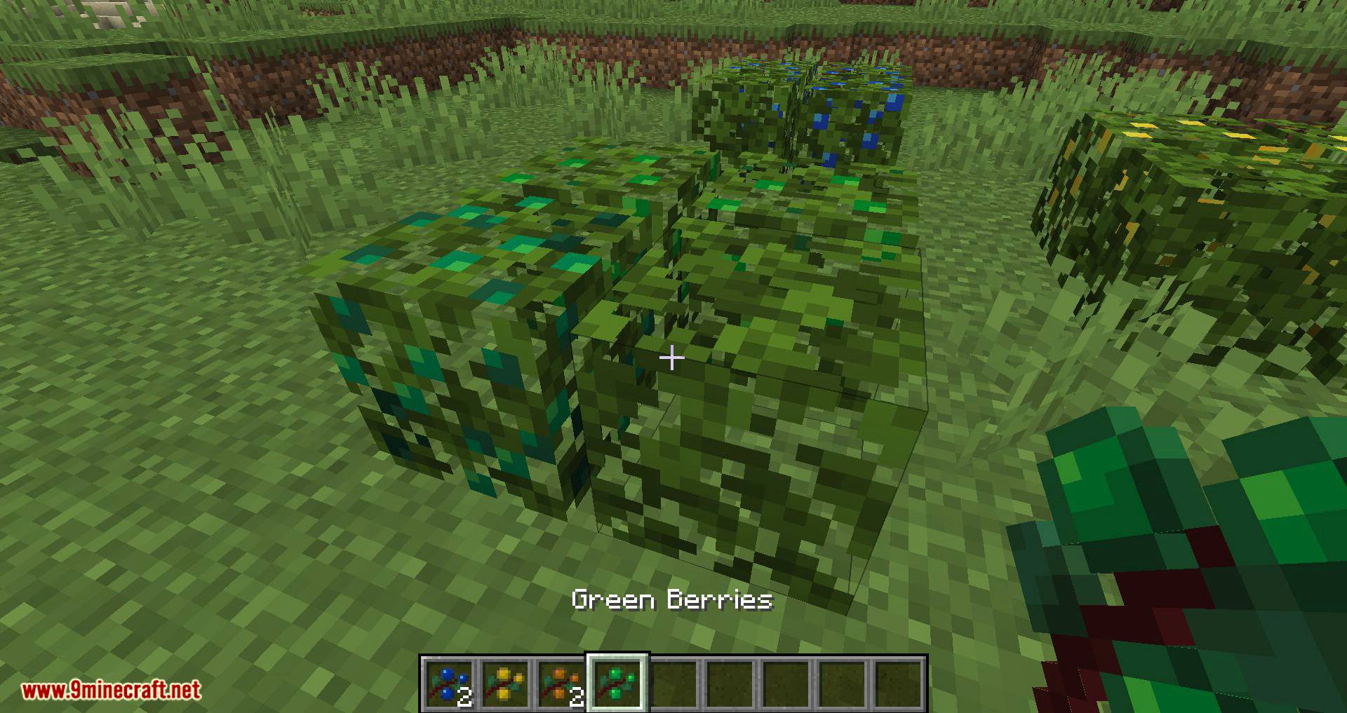 More Berries Mod (1.20.4, 1.19.4) - New Berry Bushes 7