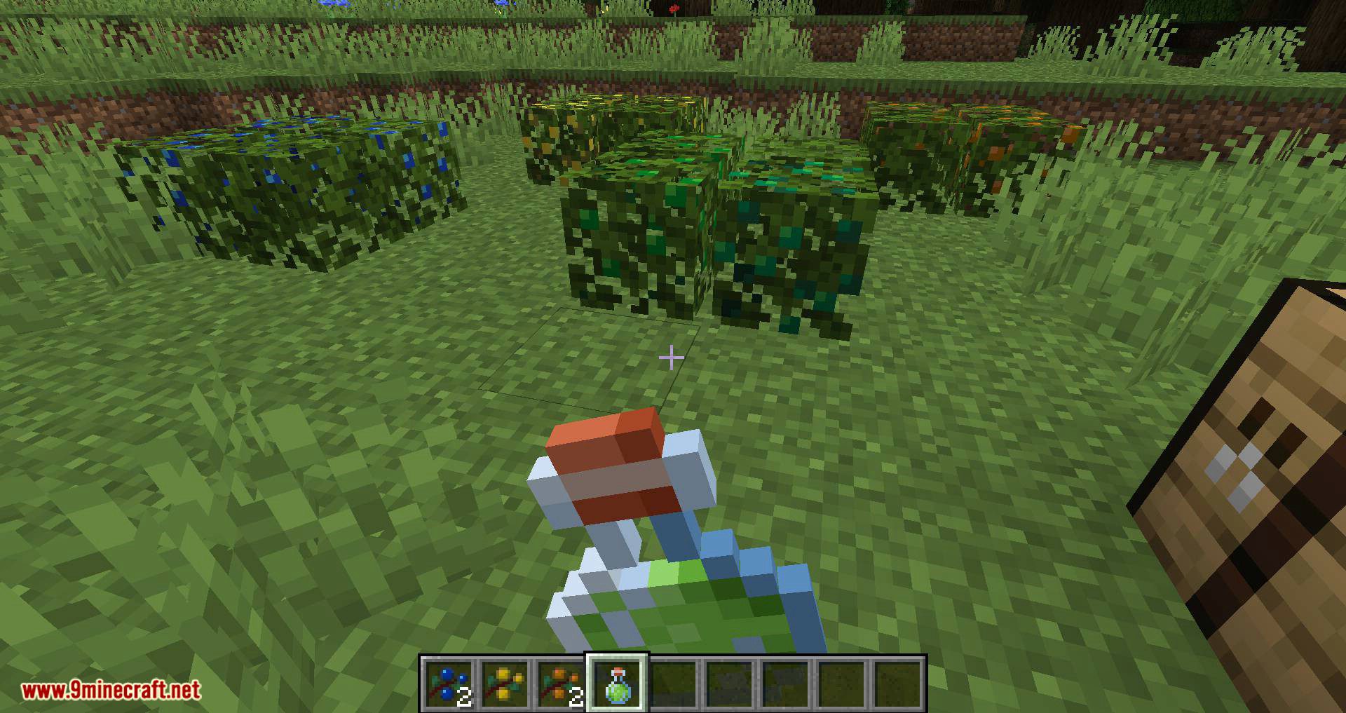 More Berries Mod (1.20.4, 1.19.4) - New Berry Bushes 8