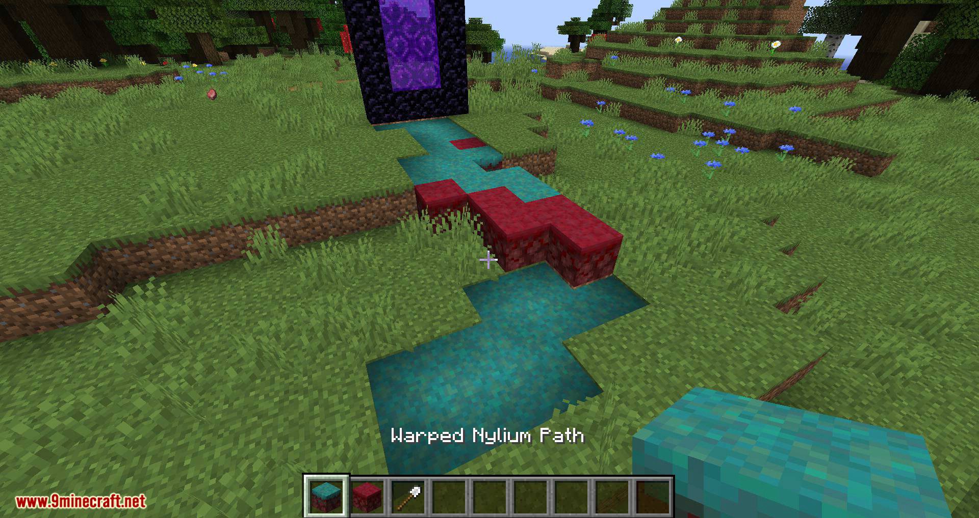 More Paths Mod 1.16.2, 1.16.1 (Nylium Paths) 10