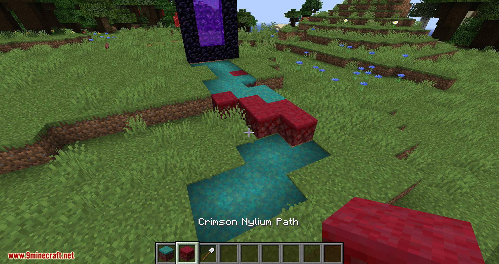 More Paths Mod 1.16.2, 1.16.1 (Nylium Paths) 11