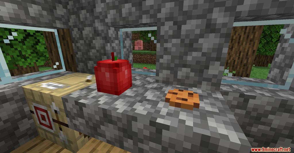 Rosy's Placeable Items Mod 1.16.1 (Placeable Vanilla Items) 4