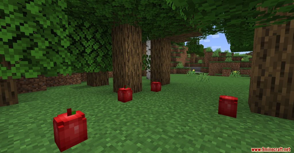 Rosy's Placeable Items Mod 1.16.1 (Placeable Vanilla Items) 7