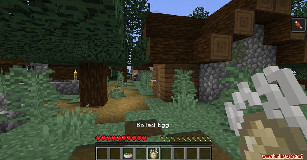 Vanilla Ingredients Cooking Mod 1.16.1 (More Edibles) 6