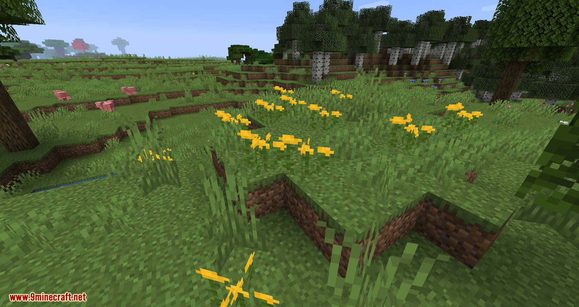 Woods and Mires Mod (1.20.1, 1.19.4) - Nordic Nature Biomes 5