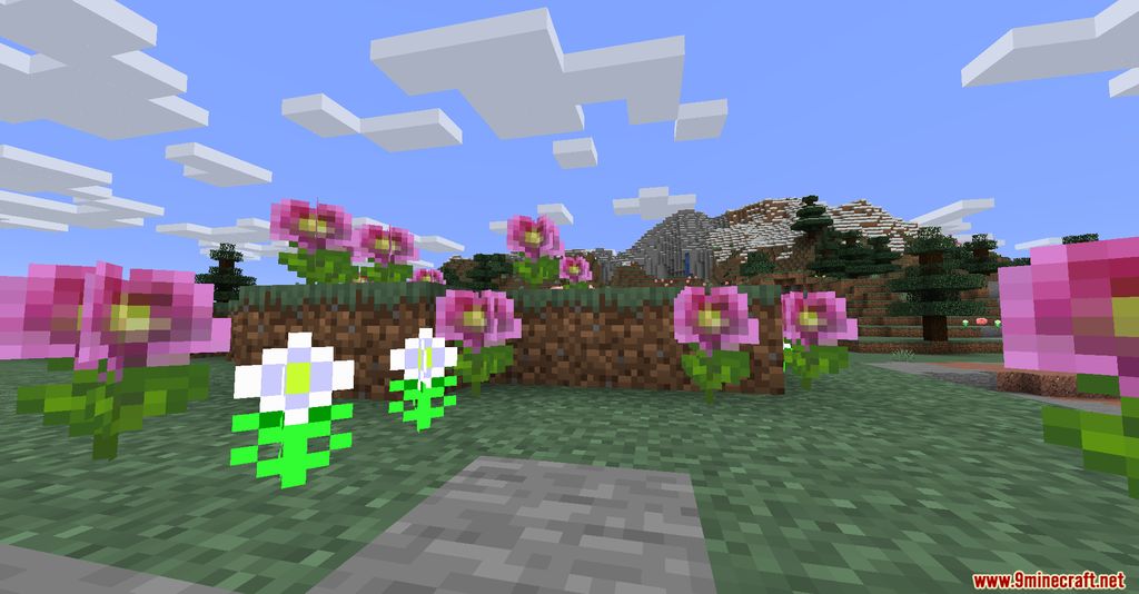 BioPlus+ Mod 1.15.2 (New Biomes Added) 3