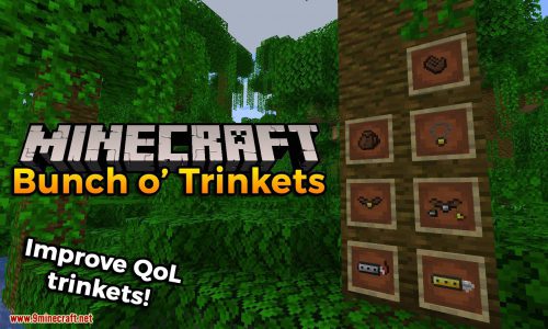 Bunch o’ Trinkets Mod 1.16.5 (Improve QoL Trinkets) Thumbnail
