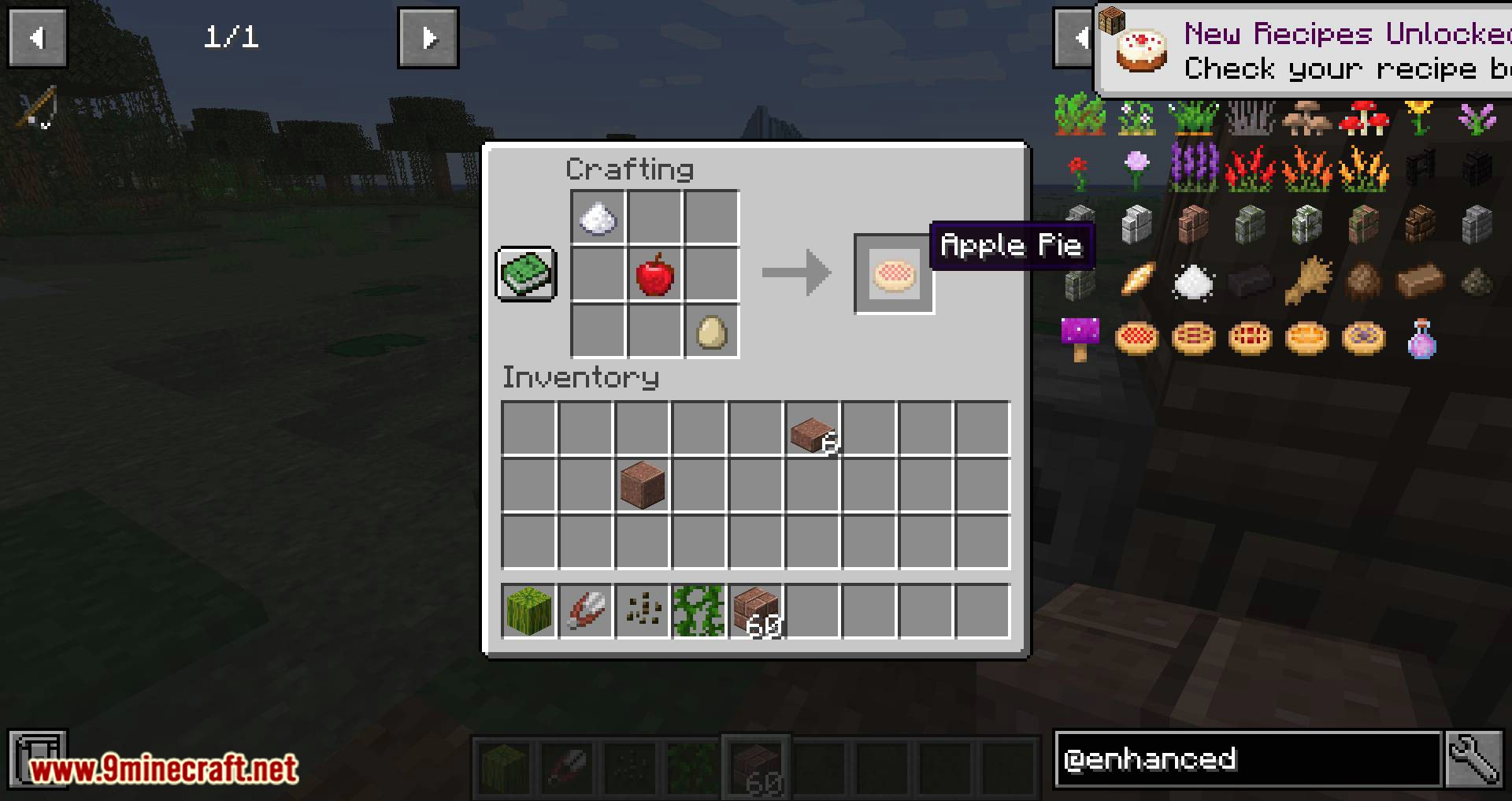 Enhanced Vanilla Mod 1.16.5, 1.15.2 (New Vanilla Things) 17