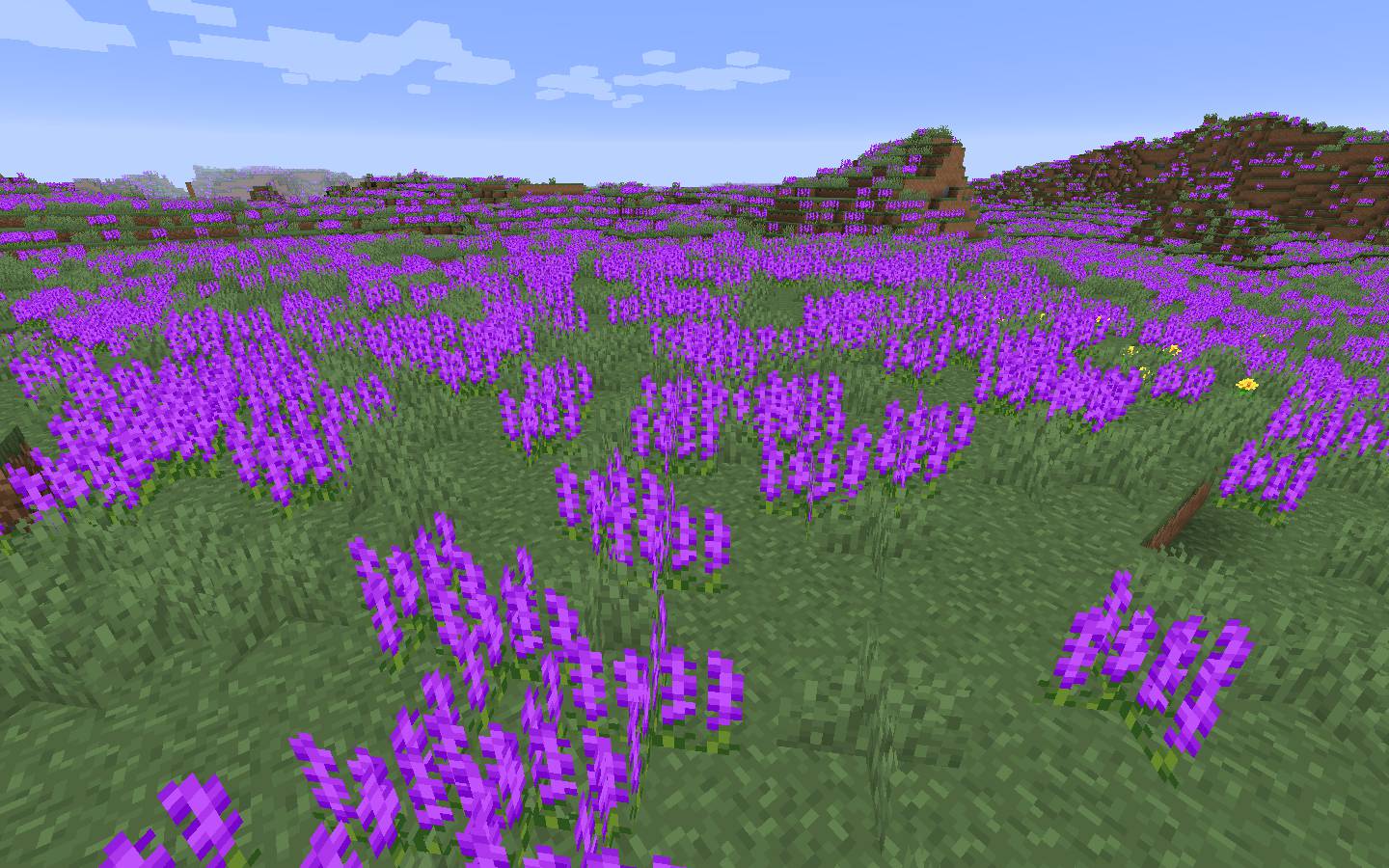 Enhanced Vanilla Mod 1.16.5, 1.15.2 (New Vanilla Things) 2