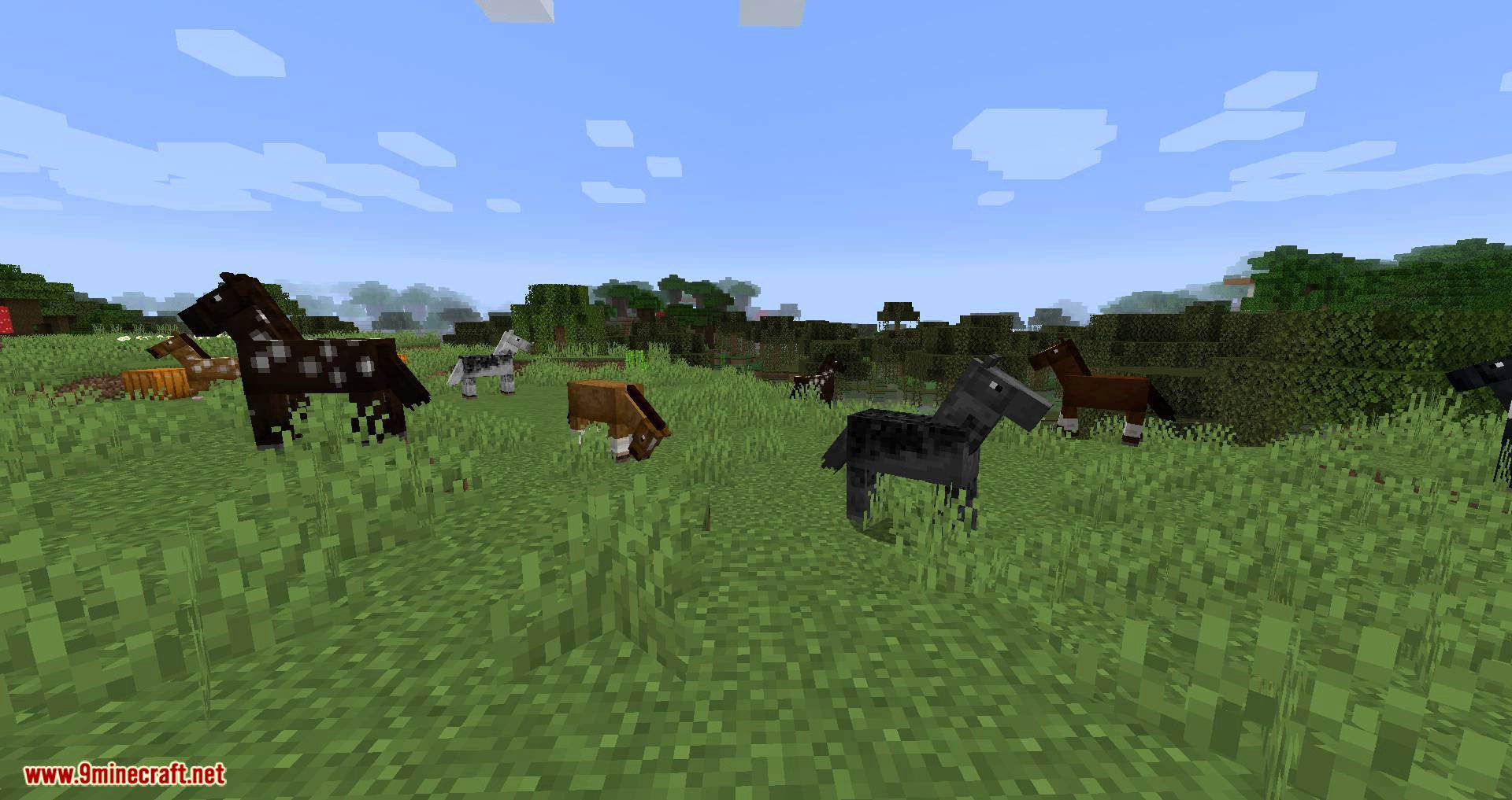 Horse Stats Vanilla Mod (1.20.1, 1.19.4) - Check Stats of Your Horse 11